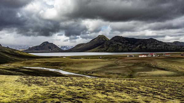 Bouton rouge : efficacité des traitements et astuces pratiques