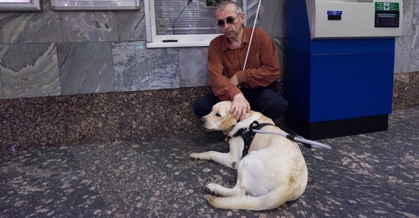 Combien coûte un chien guide d'aveugle ?